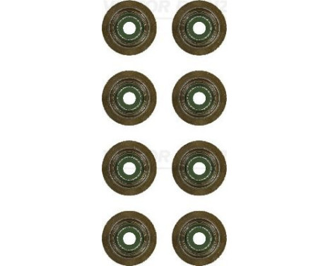 Seal Set, valve stem