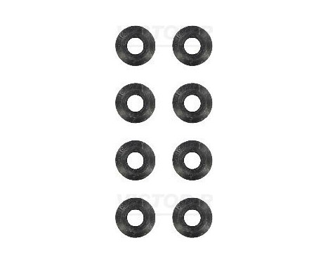 Seal Set, valve stem