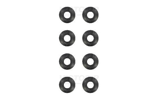 Seal Set, valve stem