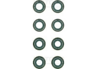 Seal Set, valve stem