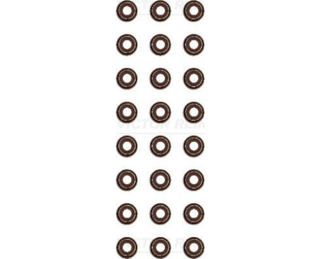 Seal Set, valve stem