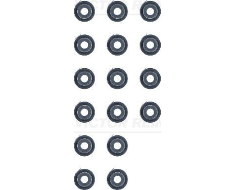 Seal Set, valve stem