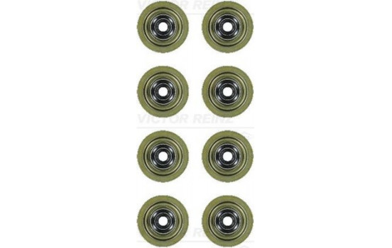 Seal Set, valve stem