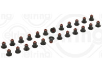 Seal Set, valve stem