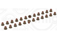 Seal Set, valve stem