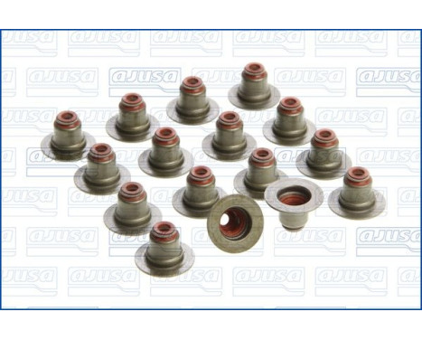 Seal Set, valve stem