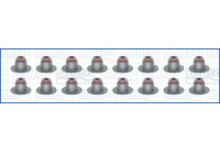 Seal Set, valve stem