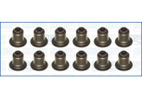 Seal Set, valve stem