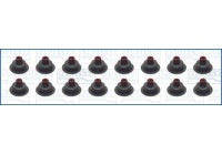 Seal Set, valve stem