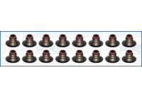 Seal Set, valve stem