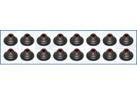 Seal Set, valve stem