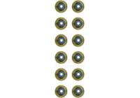 Seal Set, valve stem