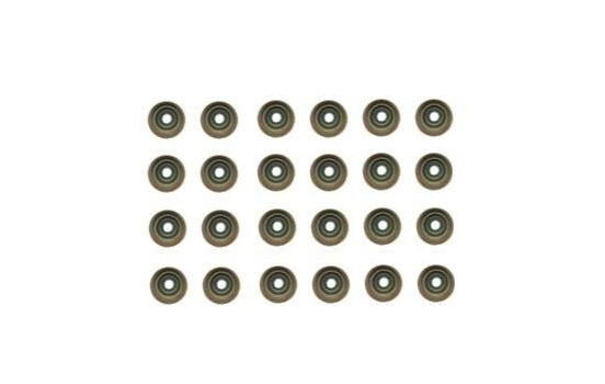 Seal Set, valve stem