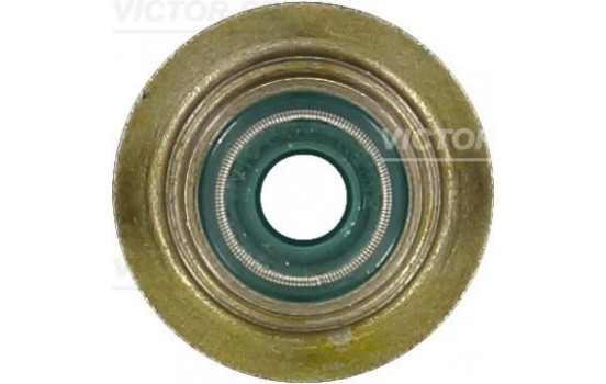 Seal, valve stem