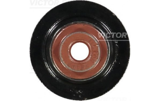 Seal, valve stem