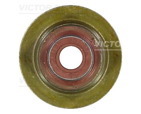 Seal, valve stem