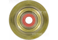 Seal, valve stem