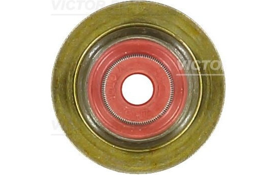 Seal, valve stem