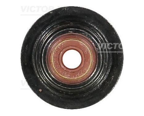 Seal, valve stem
