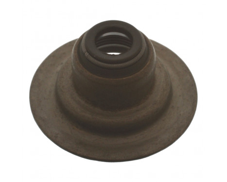 Seal, valve stem