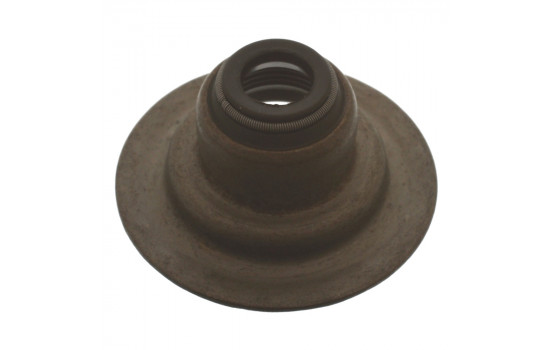 Seal, valve stem