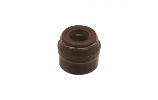 Seal, valve stem