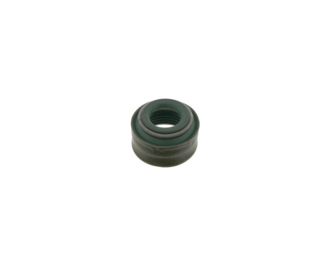 Seal, valve stem