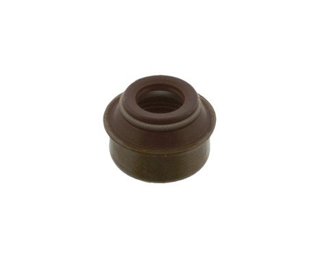Seal, valve stem