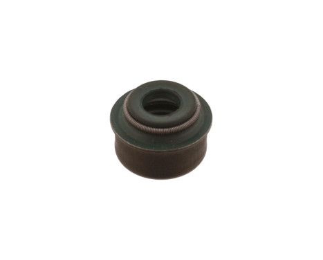 Seal, valve stem