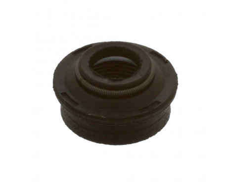 Seal, valve stem