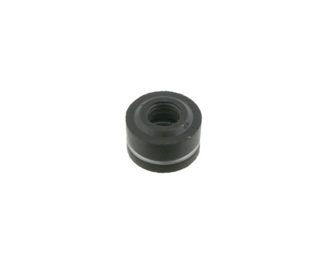 Seal, valve stem