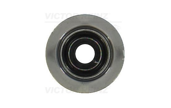 Seal, valve stem