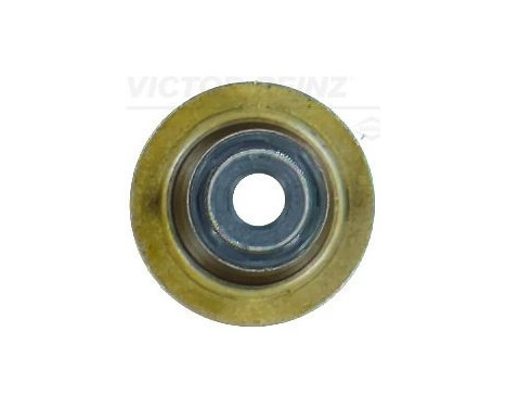 Seal, valve stem