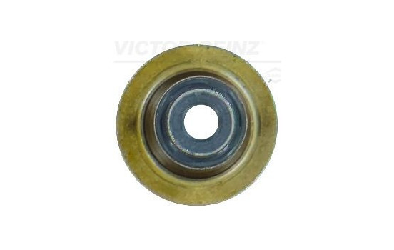 Seal, valve stem