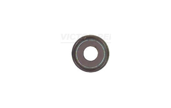Seal, valve stem