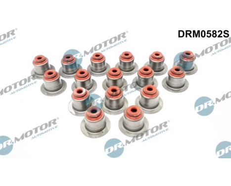 Valve seal set