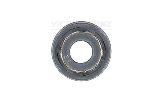 valve stem gasket