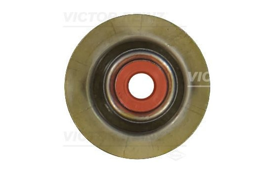 valve stem gasket