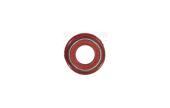 valve stem gasket