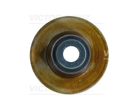 Valve stem packing