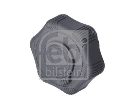 Lock, fuel tank 180326 FEBI, Image 2