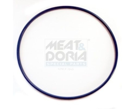 Seal, fuel cap