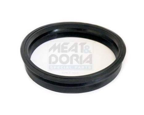Seal, fuel tank lock