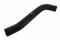 Fuel hose