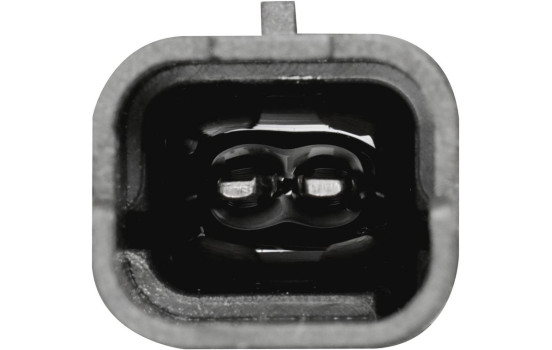 Fuel Hose, Image 2