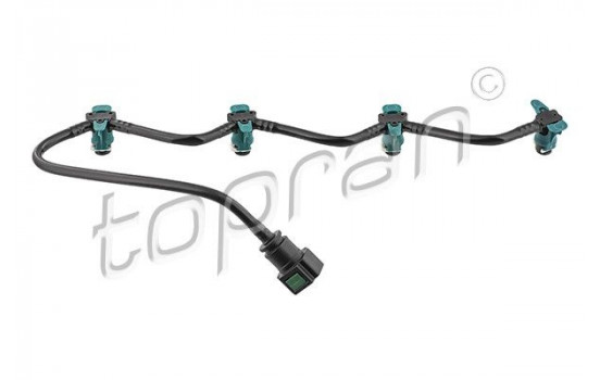 Hose, fuel overflow