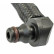 Hose, fuel overflow, Thumbnail 2
