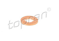 Burning plates, Injector/Atomizer