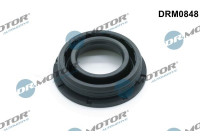 Gasket, injector holder