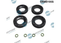 Gasket, injector holder